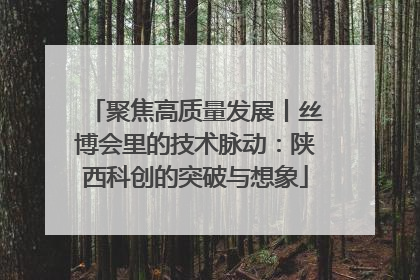 聚焦高质量发展丨丝博会里的技术脉动：陕西科创的突破与想象