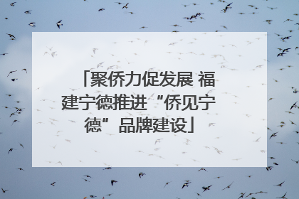 聚侨力促发展 福建宁德推进“侨见宁德”品牌建设