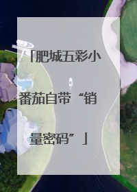 肥城五彩小番茄自带“销量密码”