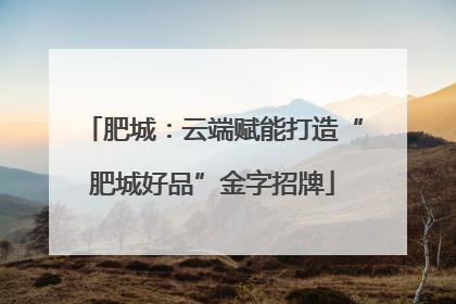 肥城：云端赋能打造“肥城好品”金字招牌