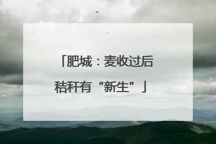 肥城：麦收过后秸秆有“新生”
