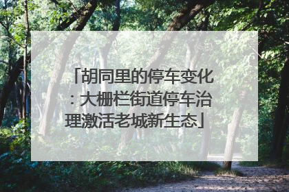 胡同里的停车变化：大栅栏街道停车治理激活老城新生态
