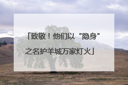 致敬！他们以“隐身”之名护羊城万家灯火