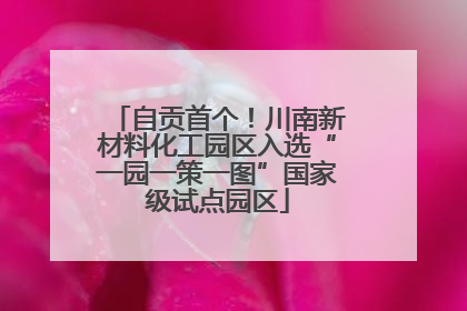 自贡首个！川南新材料化工园区入选“一园一策一图”国家级试点园区