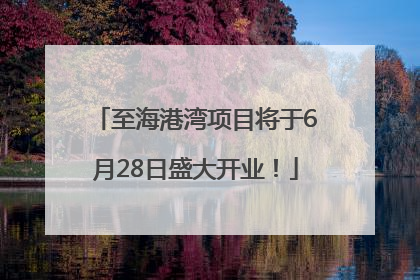 至海港湾项目将于6月28日盛大开业！