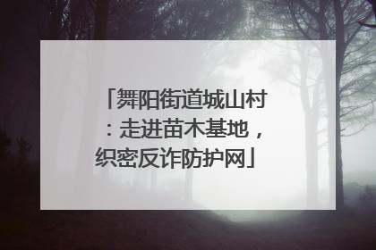 舞阳街道城山村：走进苗木基地，织密反诈防护网
