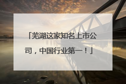 芜湖这家知名上市公司，中国行业第一！