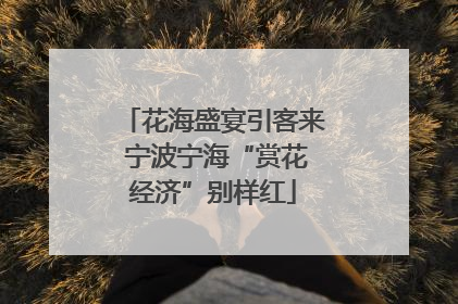 花海盛宴引客来 宁波宁海“赏花经济”别样红