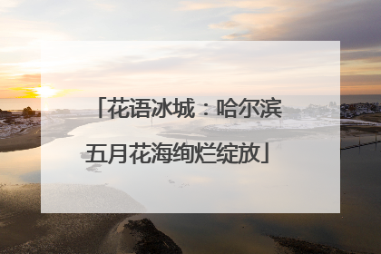花语冰城：哈尔滨五月花海绚烂绽放
