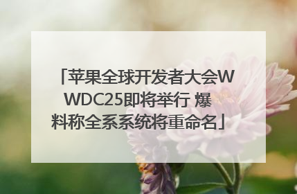 苹果全球开发者大会WWDC25即将举行 爆料称全系系统将重命名