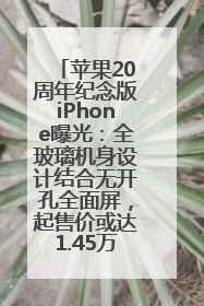 苹果20周年纪念版iPhone曝光：全玻璃机身设计结合无开孔全面屏，起售价或达1.45万人民币