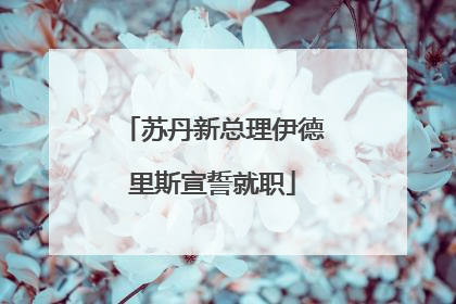 苏丹新总理伊德里斯宣誓就职