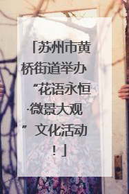 苏州市黄桥街道举办“花语永恒·微景大观”文化活动！