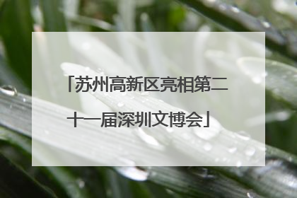 苏州高新区亮相第二十一届深圳文博会