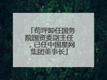 苟坪卸任国务院国资委副主任，已任中国星网集团董事长