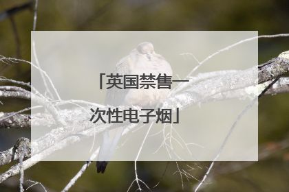 英国禁售一次性电子烟