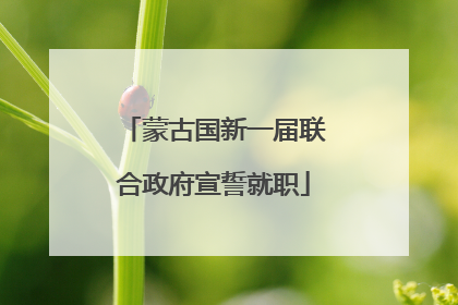 蒙古国新一届联合政府宣誓就职