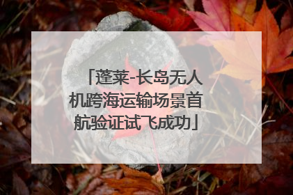 蓬莱-长岛无人机跨海运输场景首航验证试飞成功