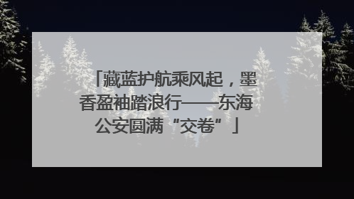 藏蓝护航乘风起，墨香盈袖踏浪行——东海公安圆满“交卷”