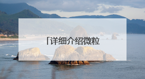 详细介绍微粒贷借钱的开通方式与官方入口