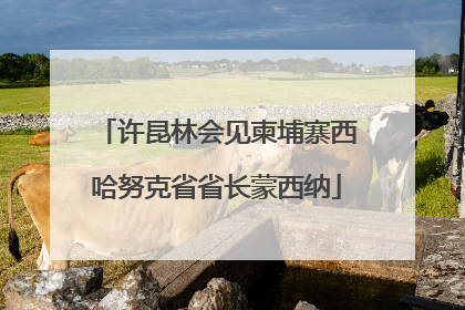 许昆林会见柬埔寨西哈努克省省长蒙西纳
