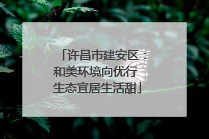 许昌市建安区：和美环境向优行 生态宜居生活甜