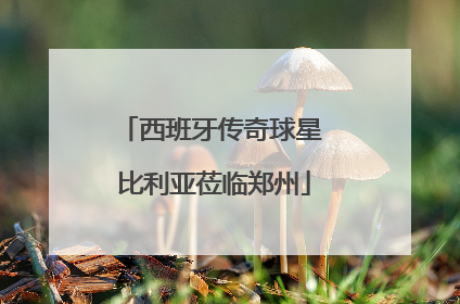西班牙传奇球星 比利亚莅临郑州