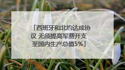 西班牙和北约达成协议 无须提高军费开支至国内生产总值5%