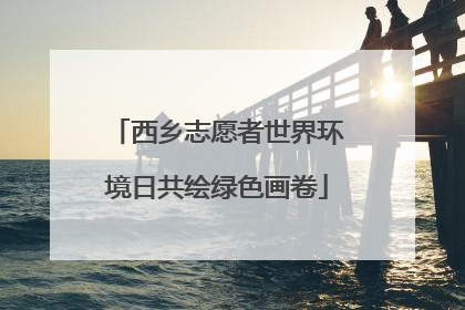 西乡志愿者世界环境日共绘绿色画卷