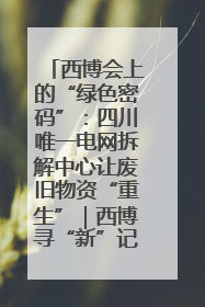西博会上的“绿色密码”：四川唯一电网拆解中心让废旧物资“重生”｜西博寻“新”记