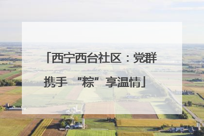 西宁西台社区：党群携手 “粽”享温情