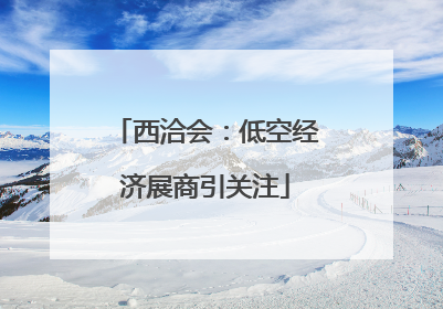 西洽会：低空经济展商引关注