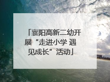 襄阳高新二幼开展“走进小学 遇见成长”活动