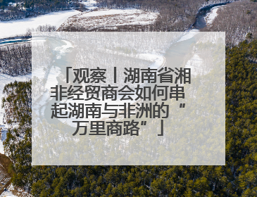 观察丨湖南省湘非经贸商会如何串起湖南与非洲的“万里商路”