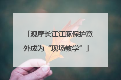 观摩长江江豚保护意外成为“现场教学”