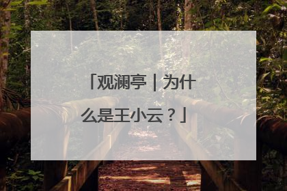 观澜亭｜为什么是王小云？