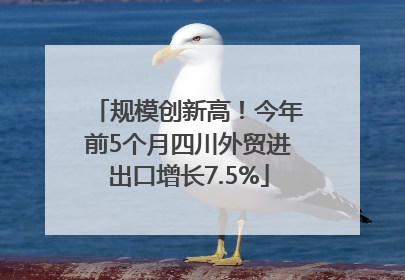 规模创新高！今年前5个月四川外贸进出口增长7.5%