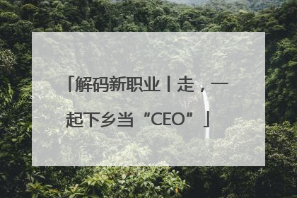 解码新职业丨走，一起下乡当“CEO”