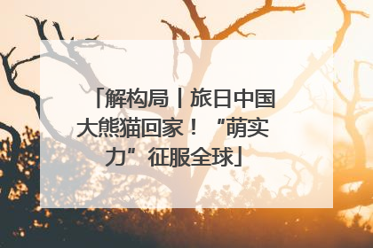 解构局丨旅日中国大熊猫回家！“萌实力”征服全球