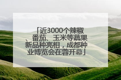 近3000个辣椒、番茄、玉米等蔬果新品种亮相，成都种业博览会在蓉开幕