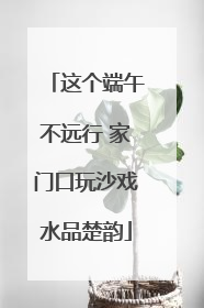 这个端午不远行 家门口玩沙戏水品楚韵
