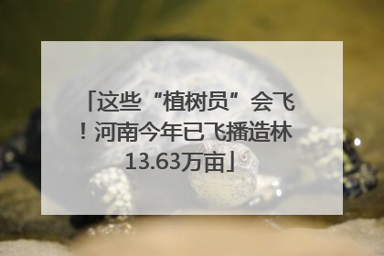 这些“植树员”会飞！河南今年已飞播造林13.63万亩