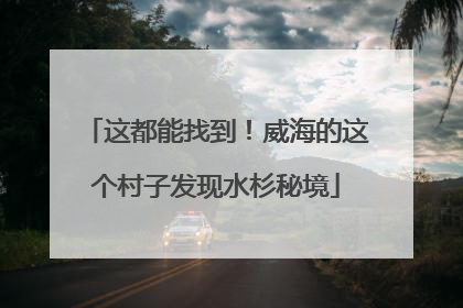 这都能找到！威海的这个村子发现水杉秘境