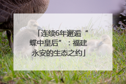 连续6年邂逅“蝶中皇后”：福建永安的生态之约