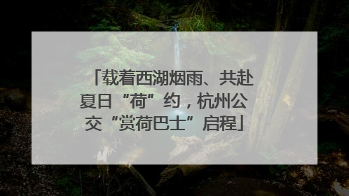 载着西湖烟雨、共赴夏日“荷”约，杭州公交“赏荷巴士”启程