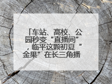 车站、高校、公园秒变“直播间”，临平这颗初夏“金果”在长三角播撒甜美