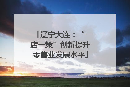 辽宁大连：“一店一策”创新提升零售业发展水平