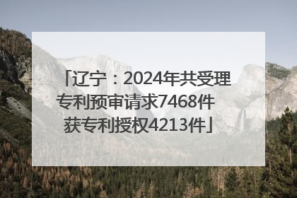辽宁：2024年共受理专利预审请求7468件 获专利授权4213件