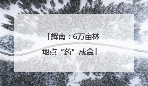 辉南：6万亩林地点“药”成金