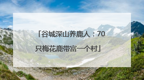 谷城深山养鹿人：70只梅花鹿带富一个村